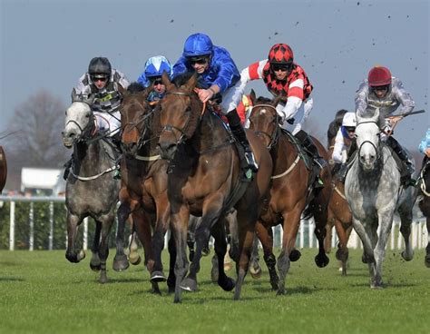 matched betting automatcher